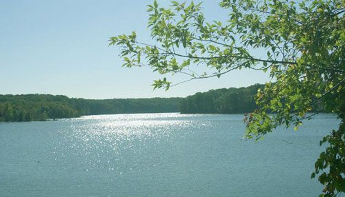 alumcreekdrown_13775