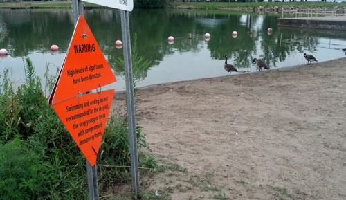 Buckeye Lake Businesses May Get Financial Help (Image 1)_9314