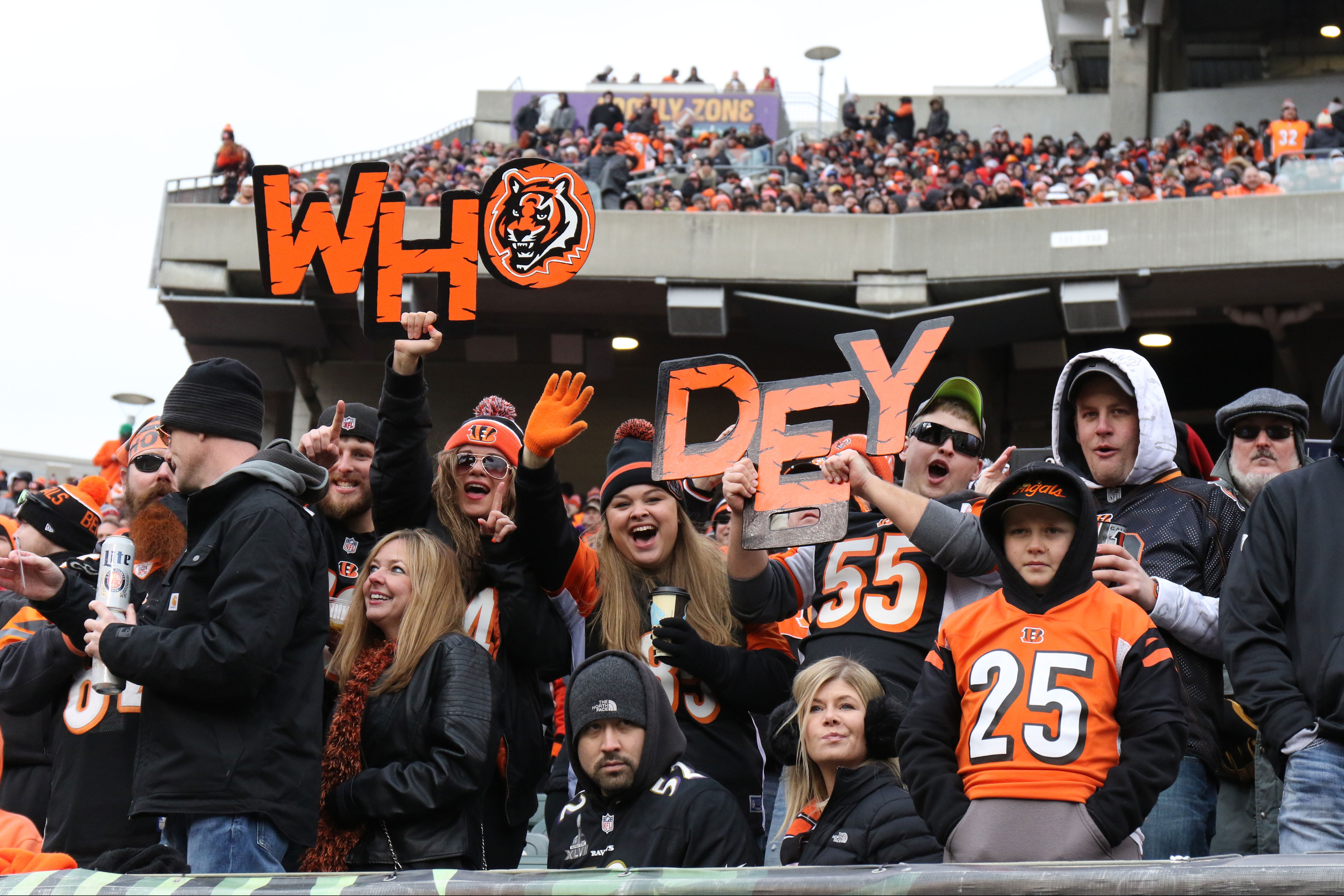 Bengals fans_75972