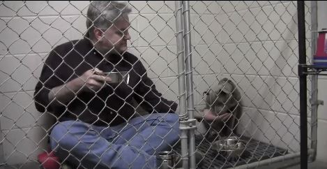 vet and dog_89883