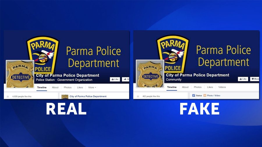 fake_pages_94926