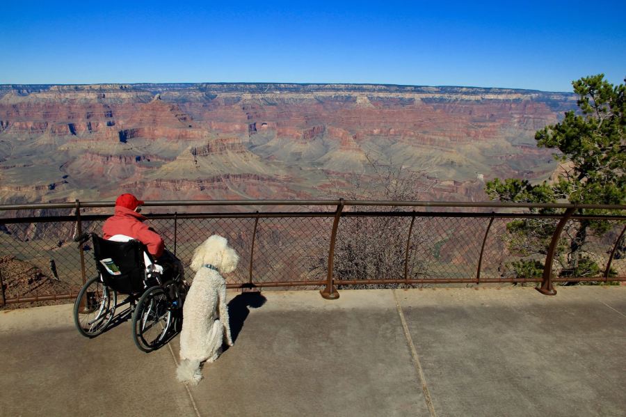 grand canyon_94983