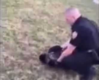 officer and hawk_98388