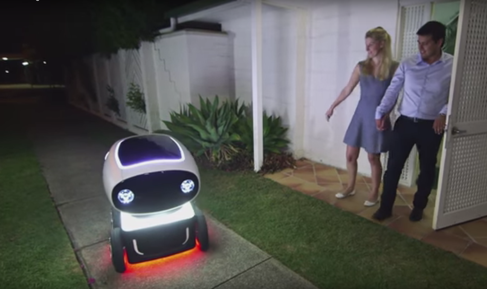 Dominos pizza delivery robot_101772