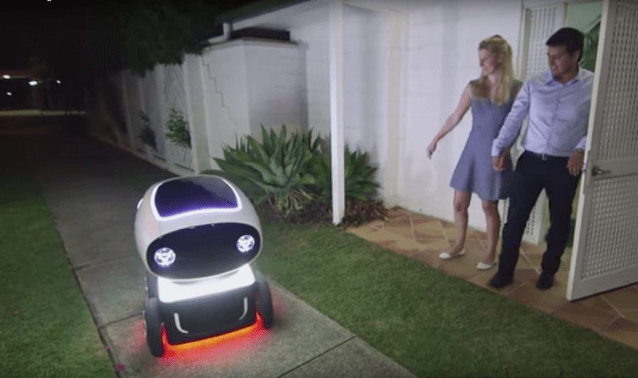 Dominos pizza delivery robot_101772
