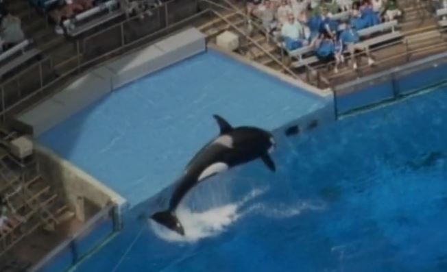 seaworld_100622