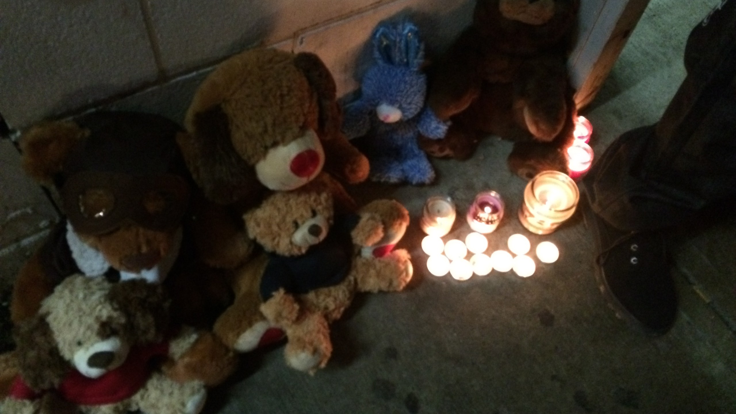 vigil 3_95982