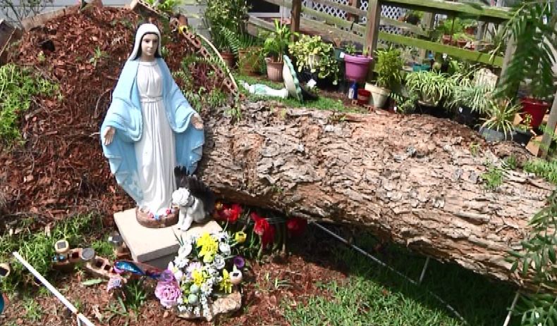virginmary_102380