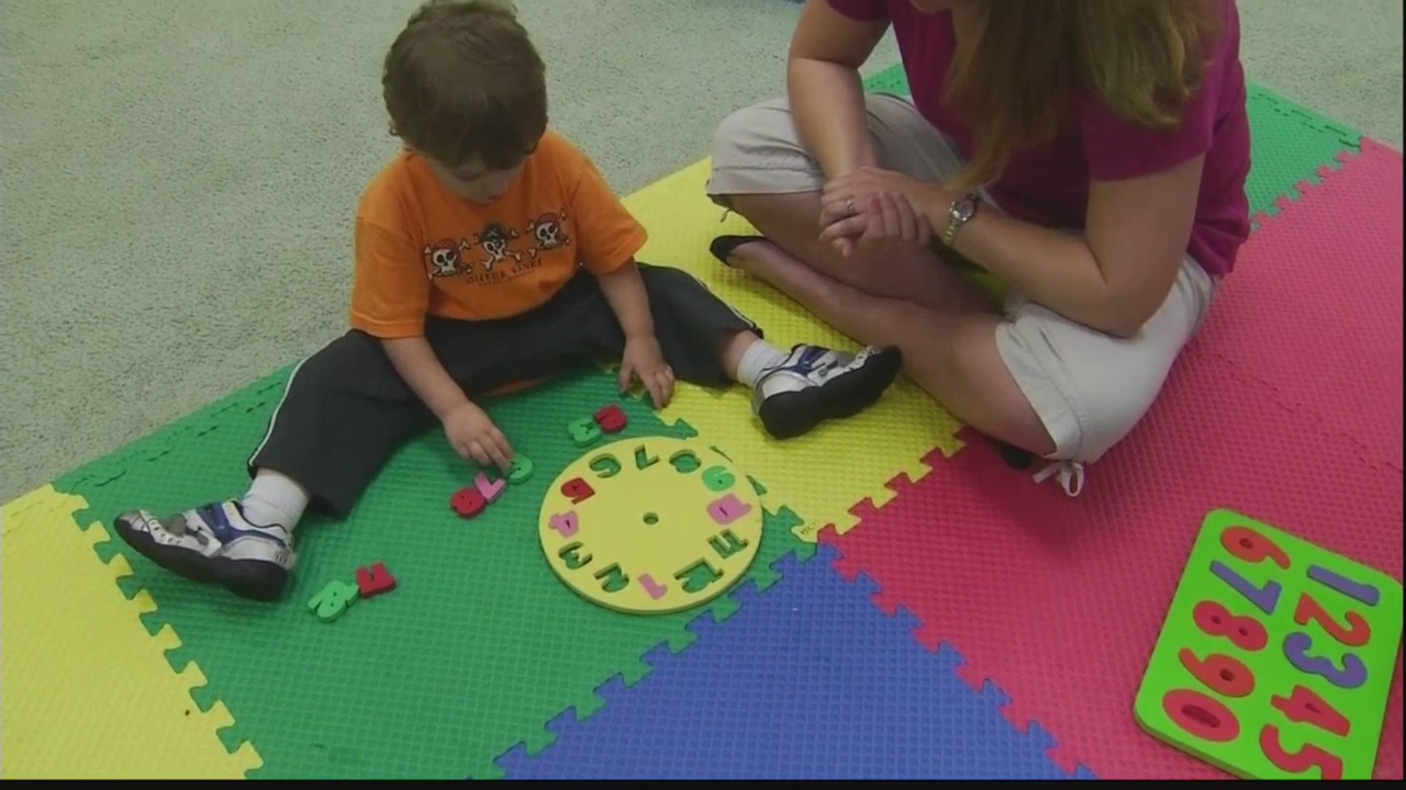 The Autism Puzzle: Part 1