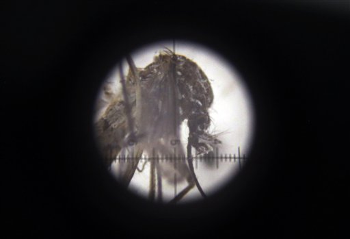Colombia Zika_118712