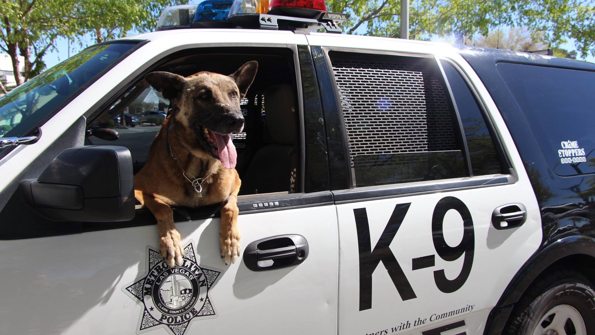 nicky police dog_110187