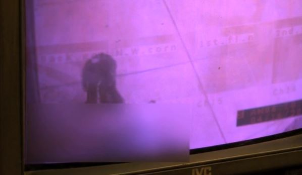 woman-steals-purse-from-dead-woman_115179