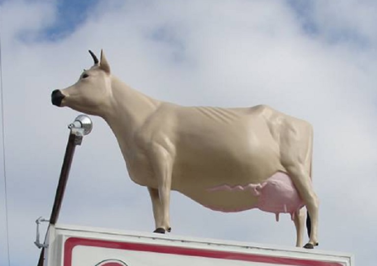 YOUNG'S DAIRY COW 2_108303