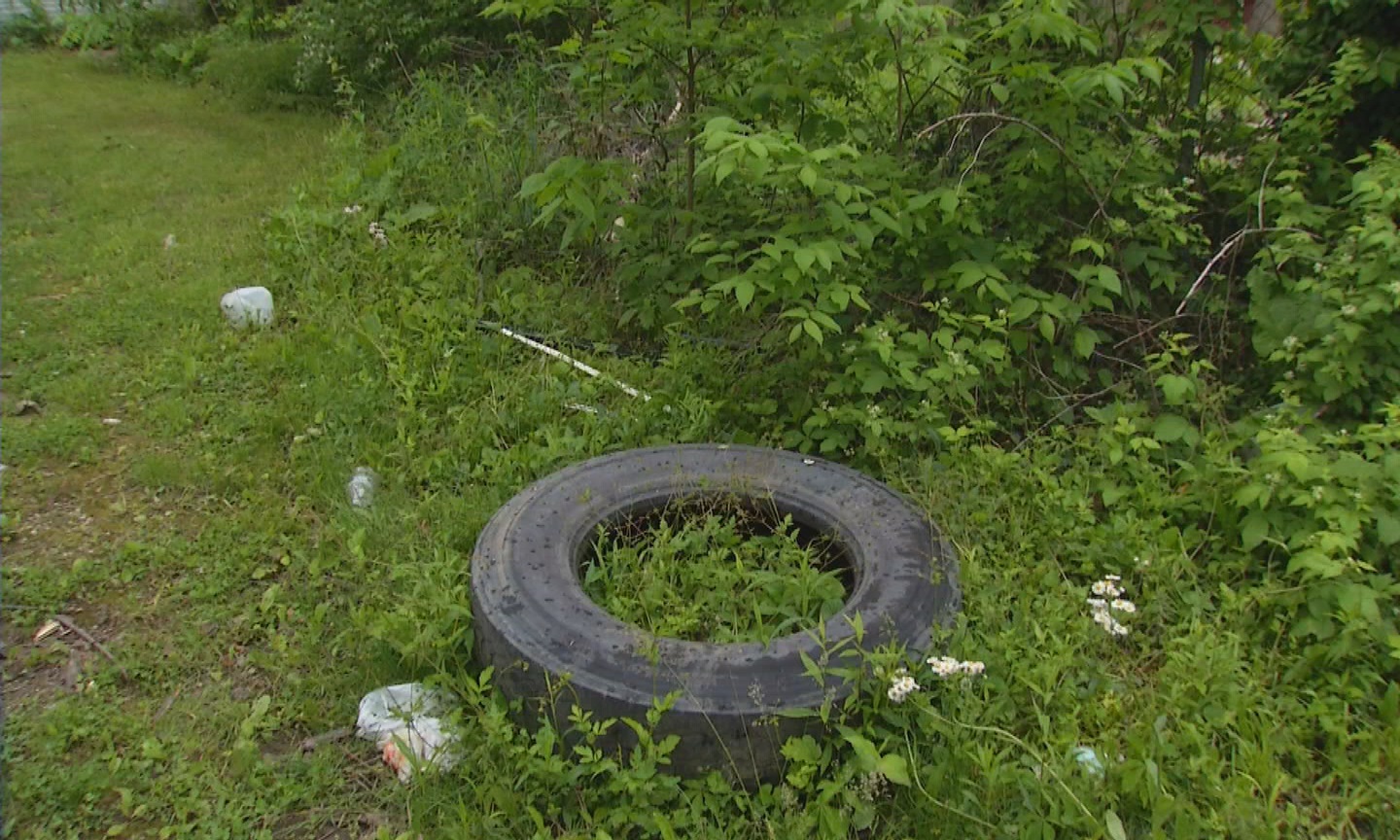 Illegal dumping of a tire_127720