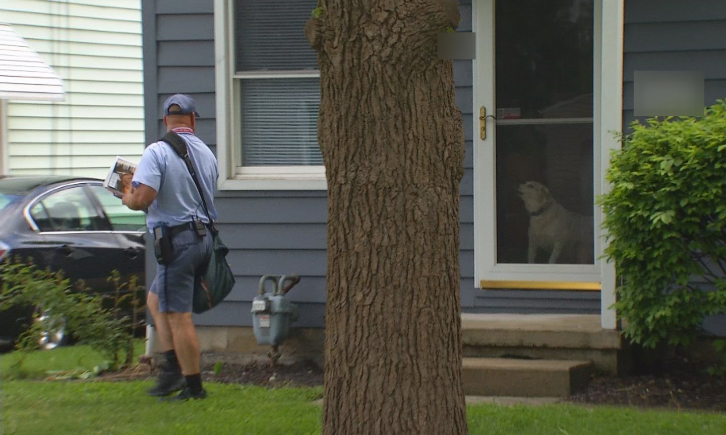 mail carrier dogs_124556