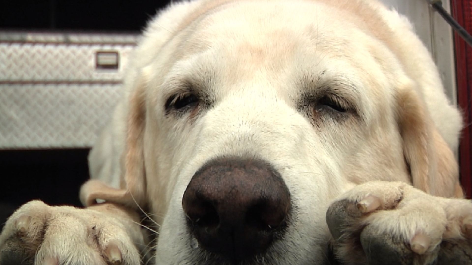 NC_jake_1920x1080_127460
