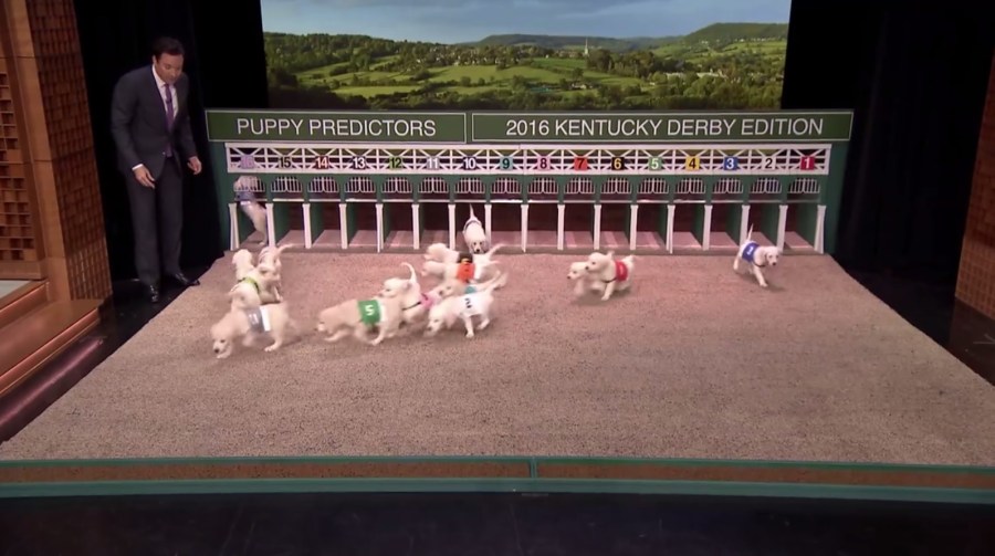 puppies_121405