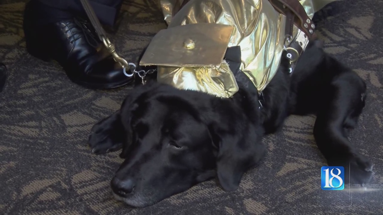 SERVICE-DOG-GRAD_124799