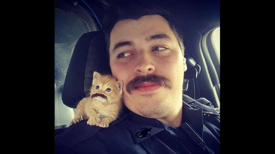 spartanburg-cat-cop_120229