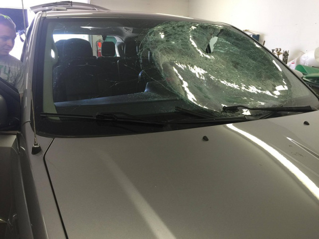turkey-crash_125256