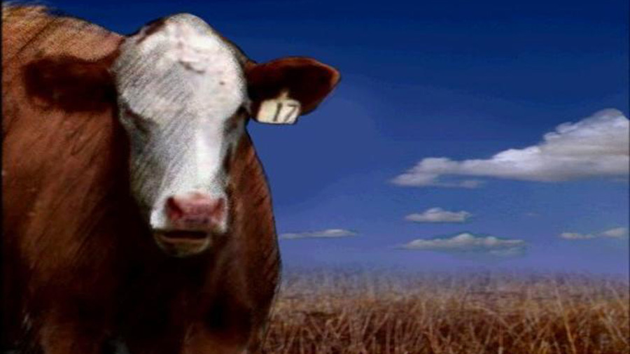 generic cow_140474