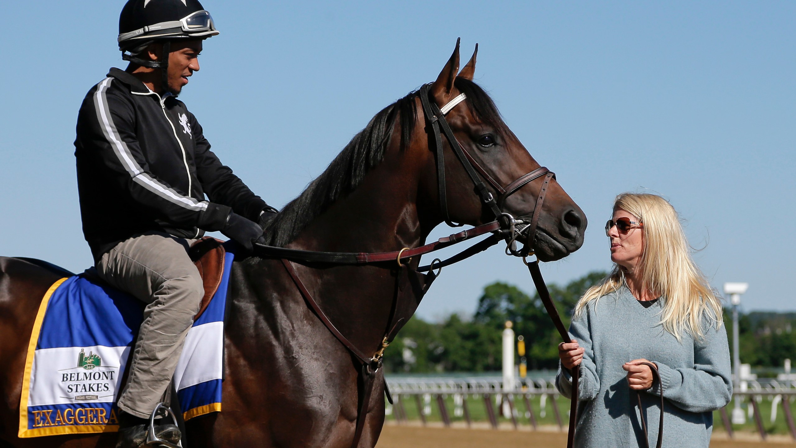 Belmont Stakes Horse Racing_136431