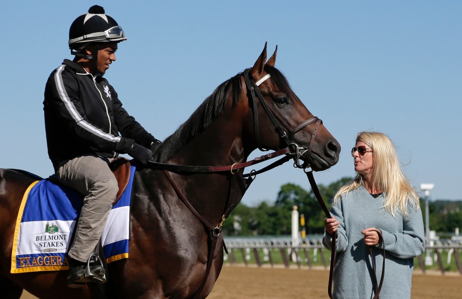 Belmont Stakes Horse Racing_136431