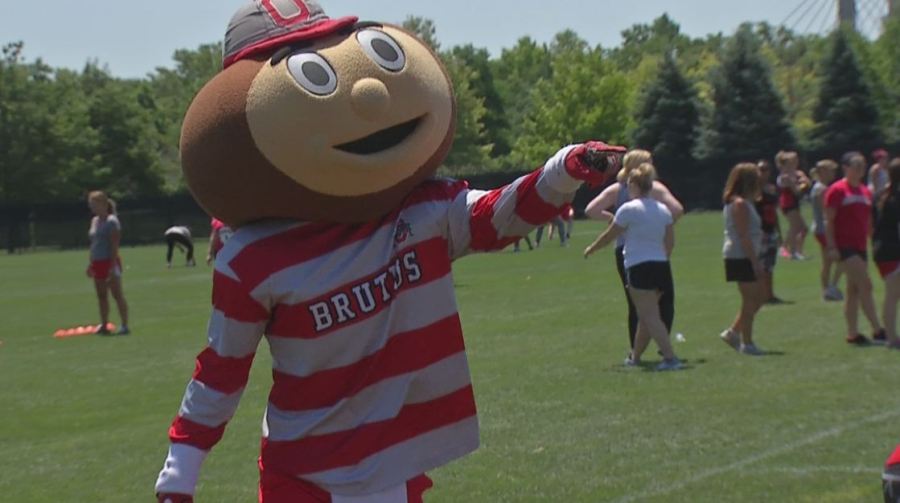 BRUTUS BUCKEYE_137904