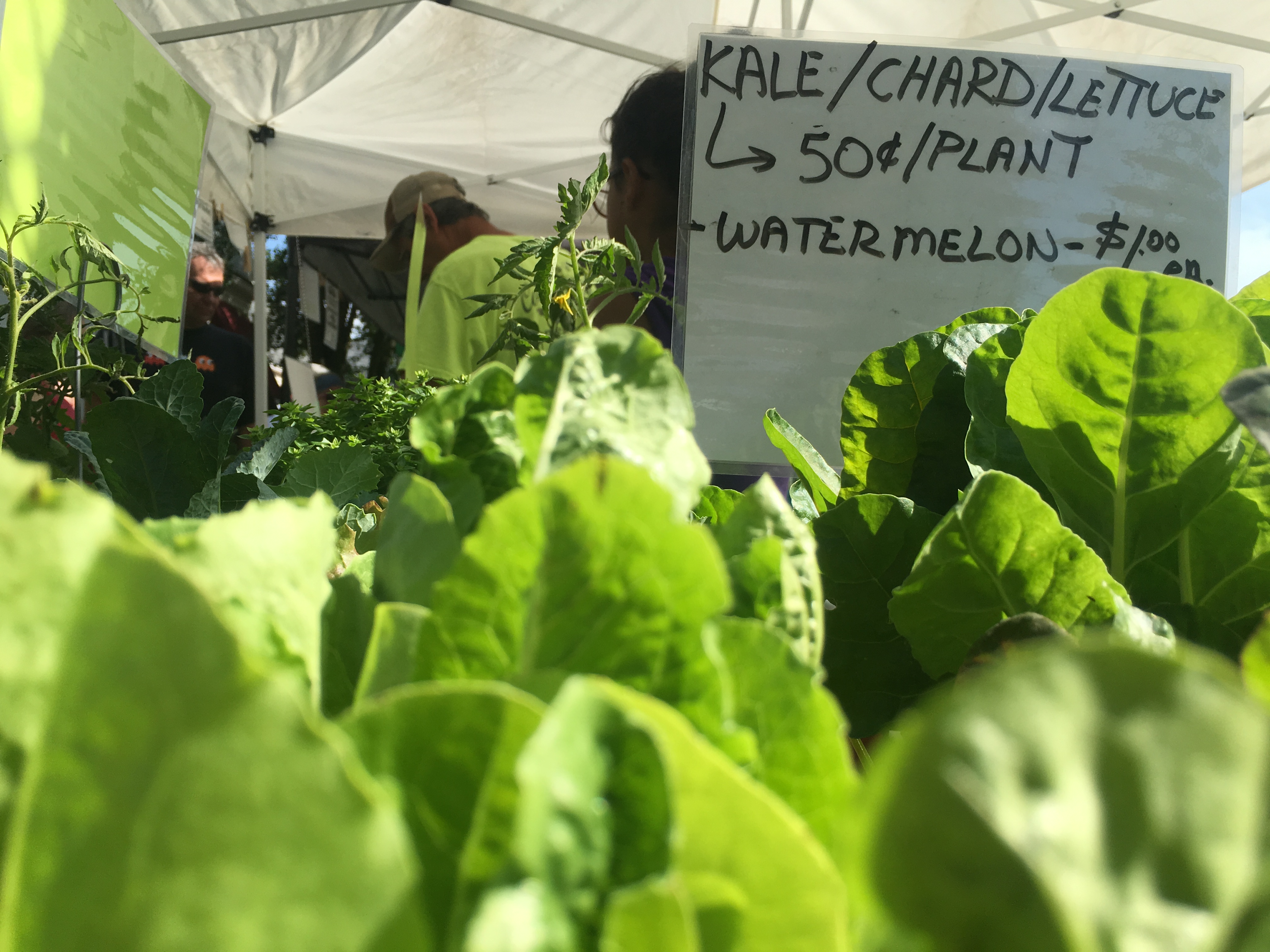 farmer's market 3_136453