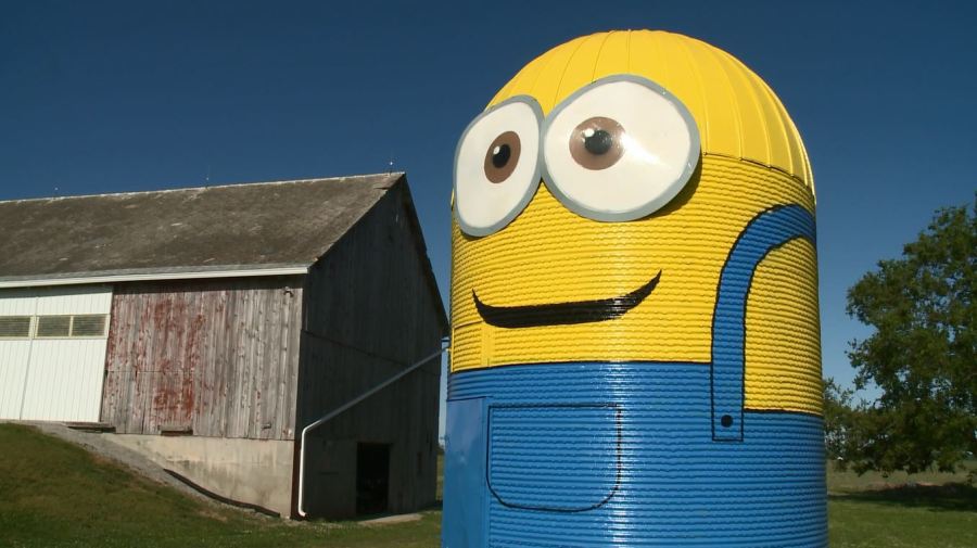 minion_135368