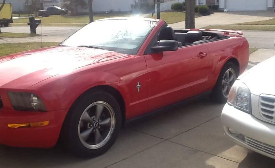 Mustang 1_134801