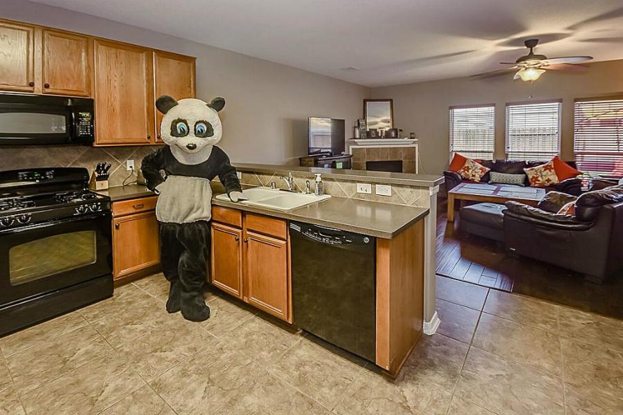 Panda 5_140569