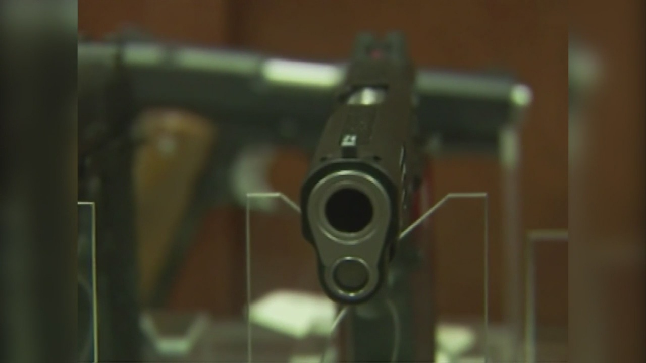 TN-COLLEGE-GUNS_137563