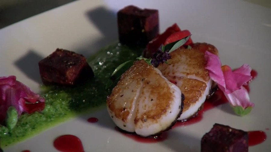 marijuana scallops_147859