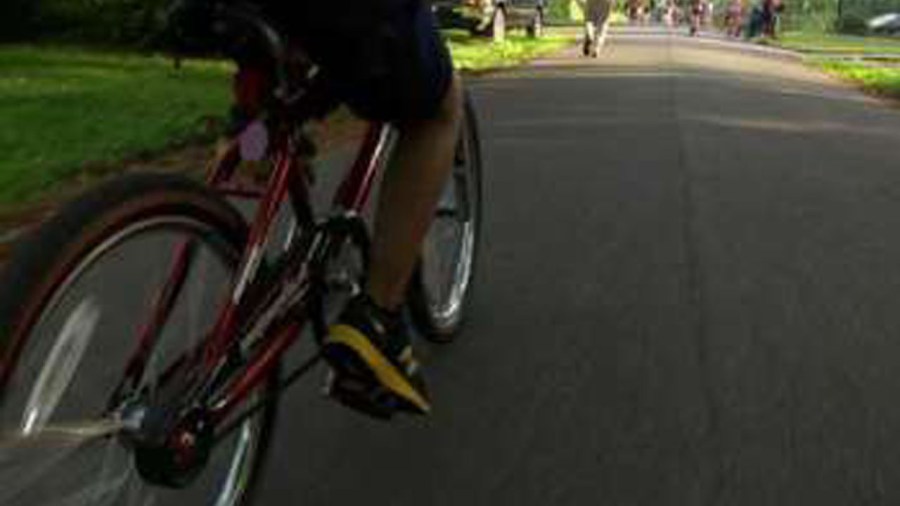 bikingweb_153243