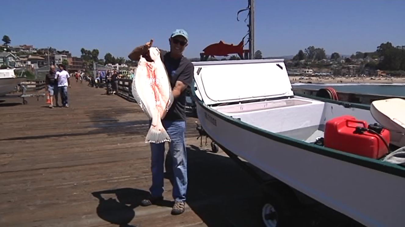 fish_148618