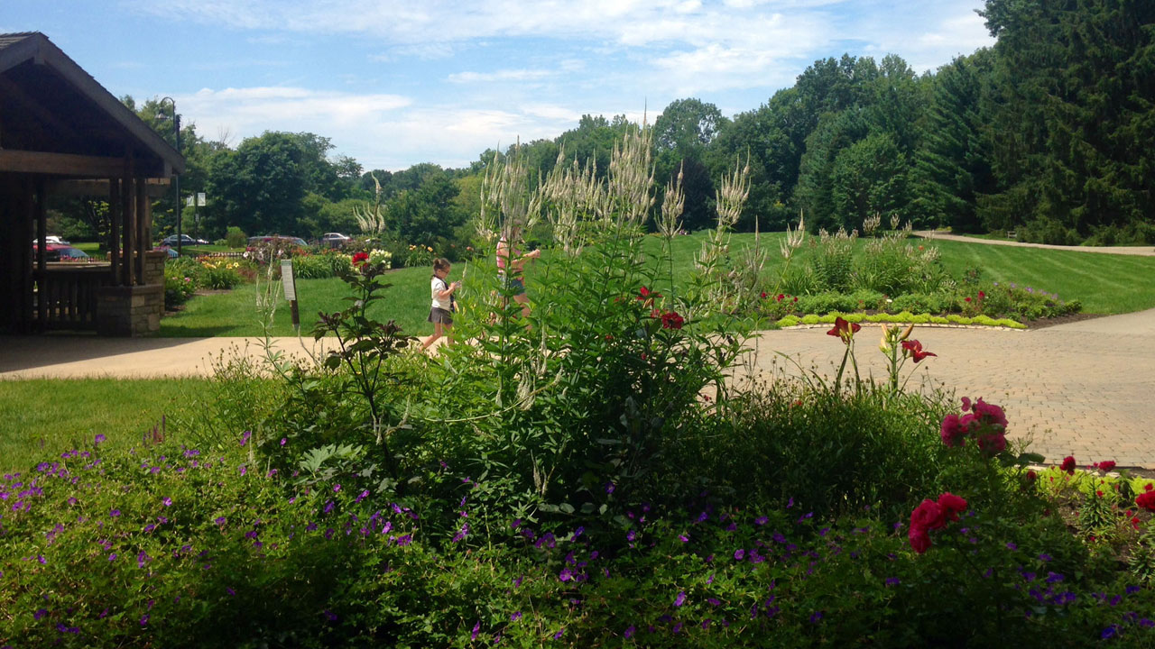 Inniswood-header_145431