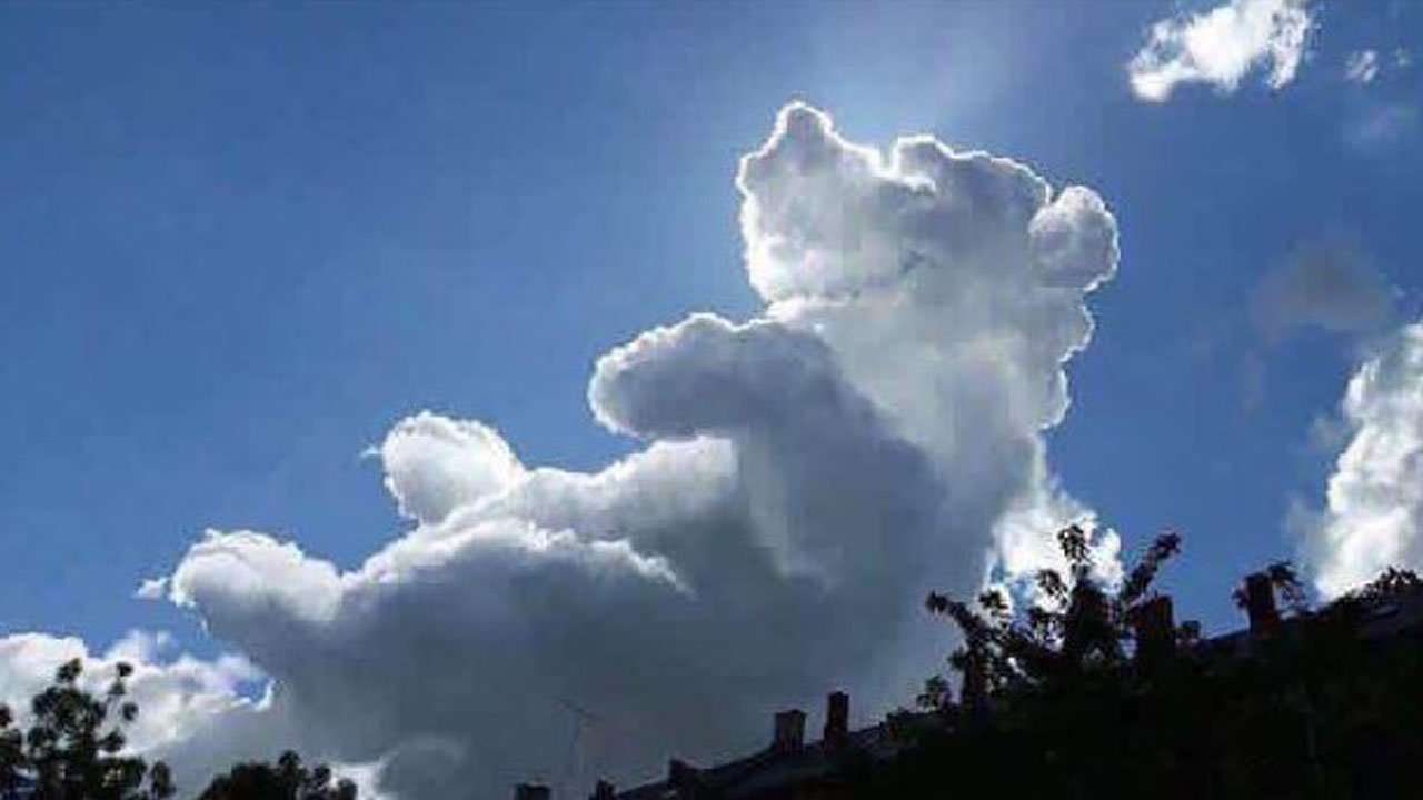 poohcloudweb_154505