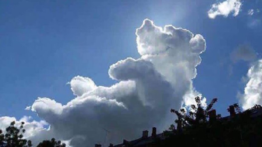 poohcloudweb_154505