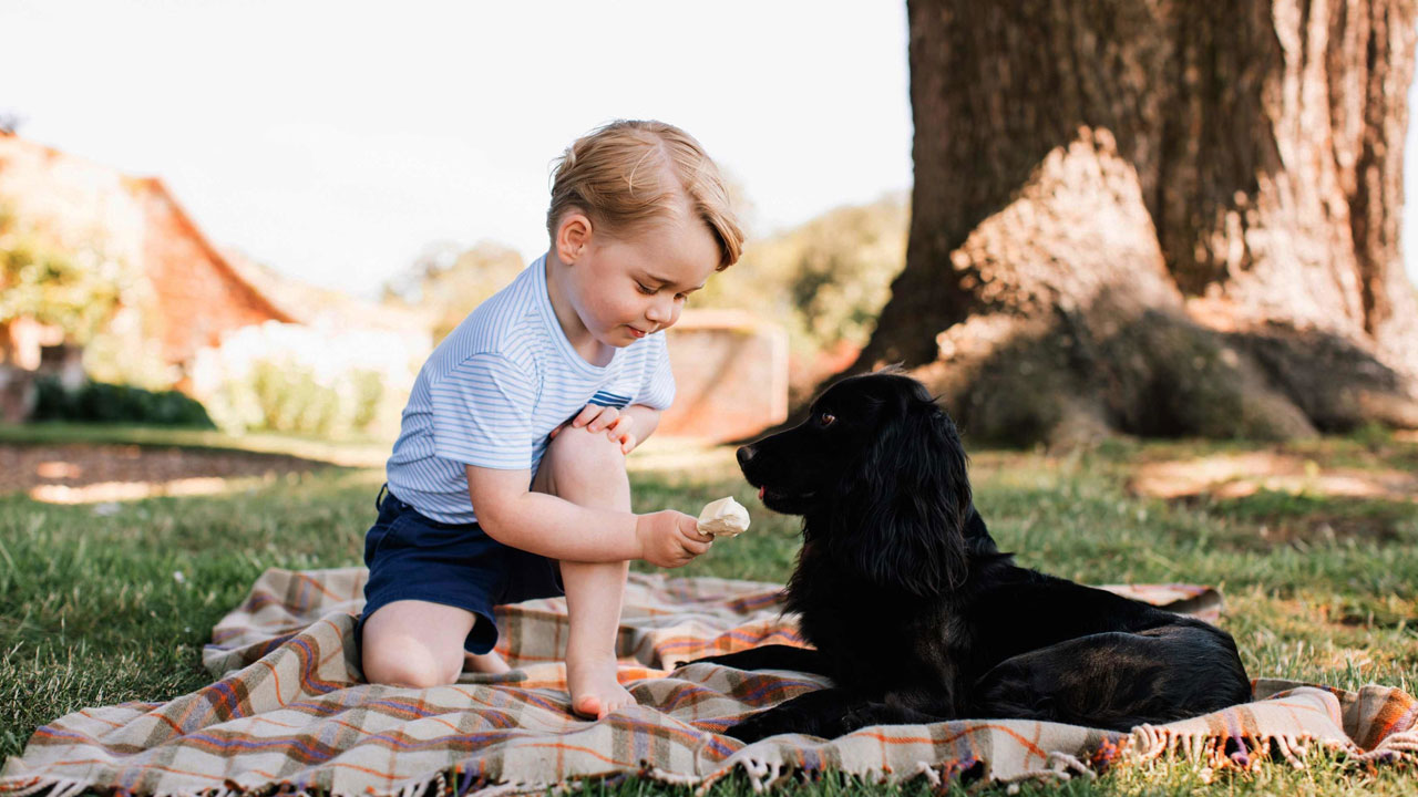 prince-george_152223