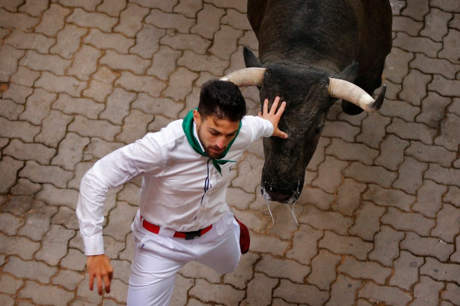 Spain Running of the Bulls_147184