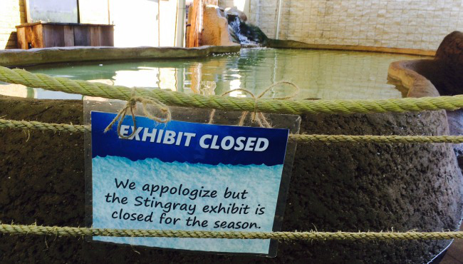 stingray-exhibit-john-ball-zoo-070816_147276