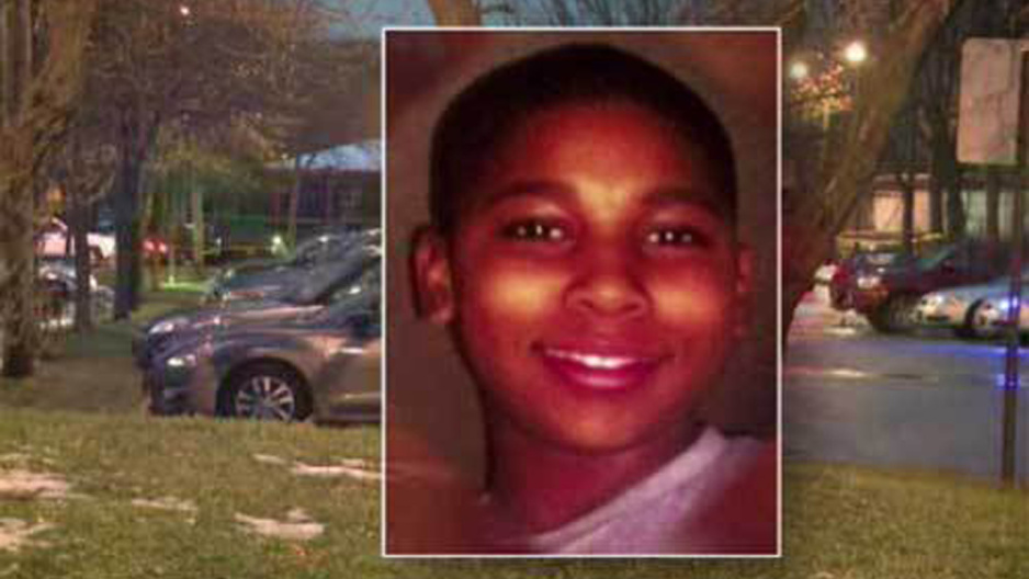 tamirriceweb (1)_145186