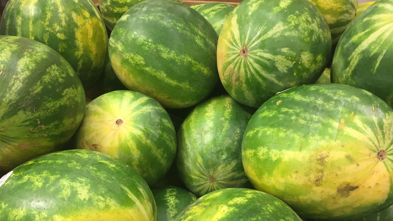 watermelons_152319
