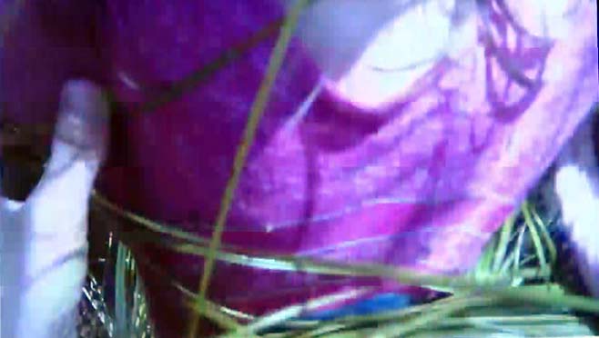 8-4-kid-found_160718