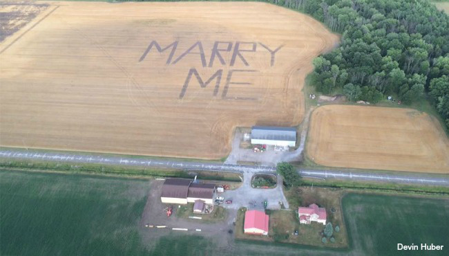 corn-field_156474