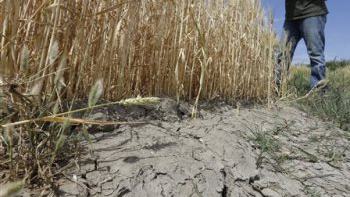 drought title image_161337