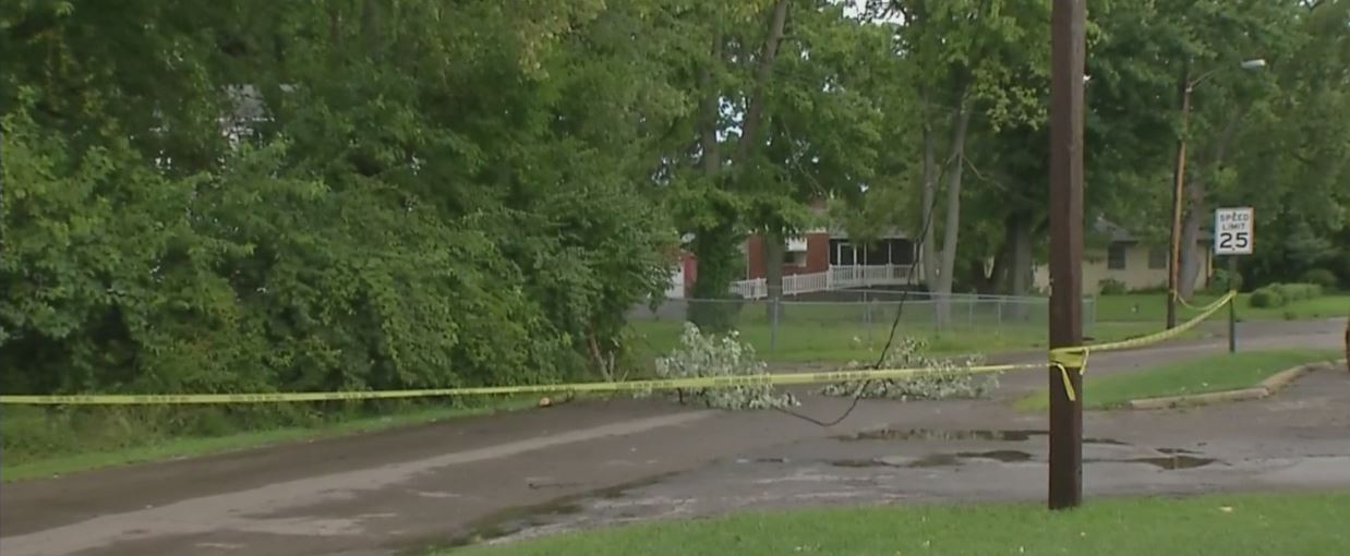 Linden wires down_176213