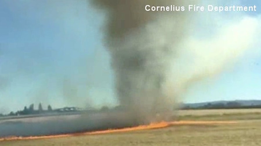 firenado2_169298