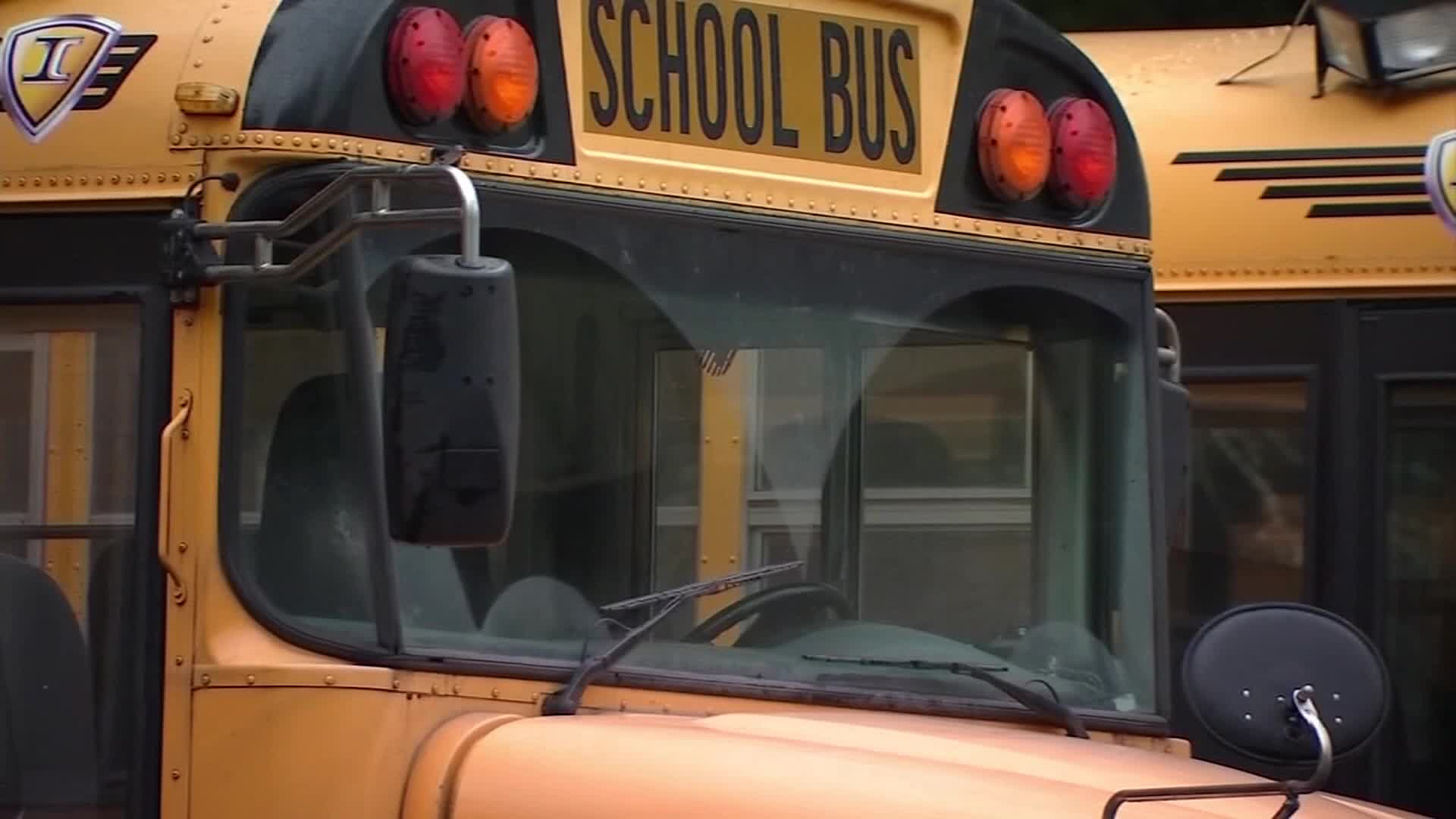 SCHOOL BUS_175805